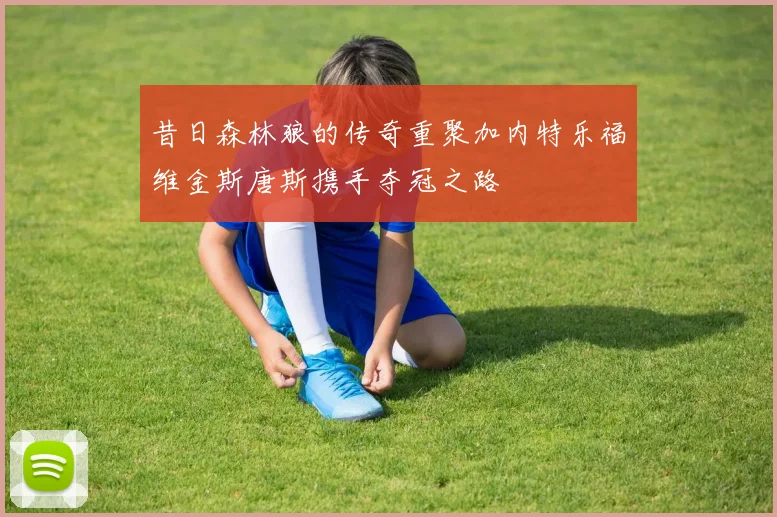 昔日森林狼的传奇重聚加内特乐福维金斯唐斯携手夺冠之路