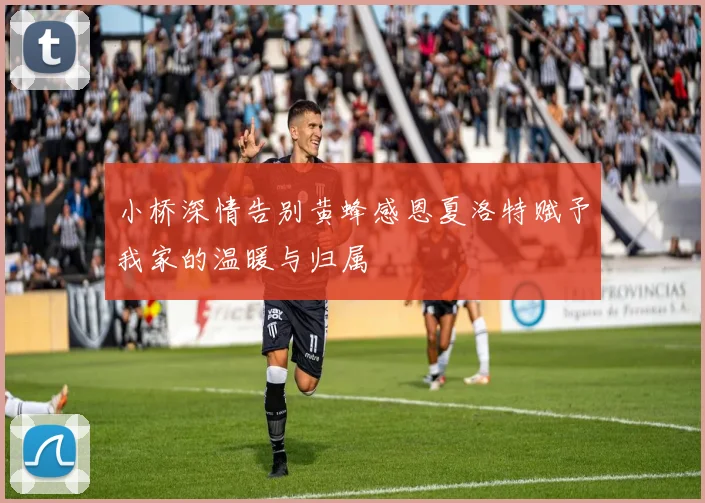 小桥深情告别黄蜂感恩夏洛特赋予我家的温暖与归属